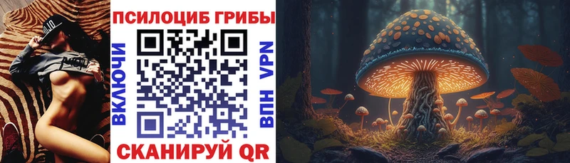 Галлюциногенные грибы мицелий где купить Кольчугино