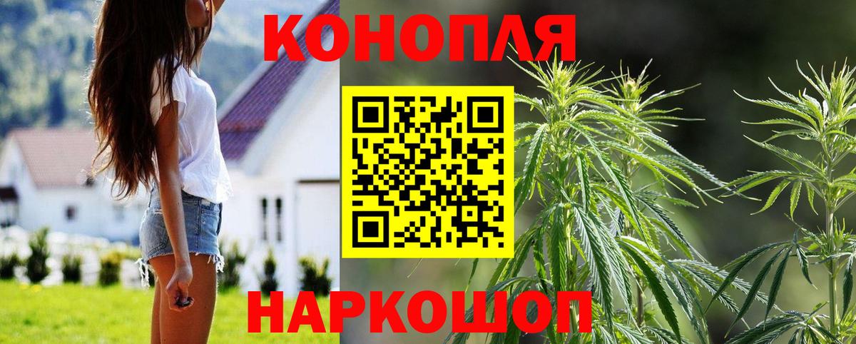 Конопля марихуана  Вход с VPN  Бошки марихуана White Widow  МАРИХУАНА гибрид  Кольчугино 