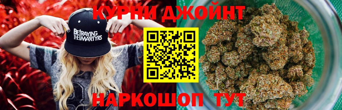 Канабис сатива Кольчугино